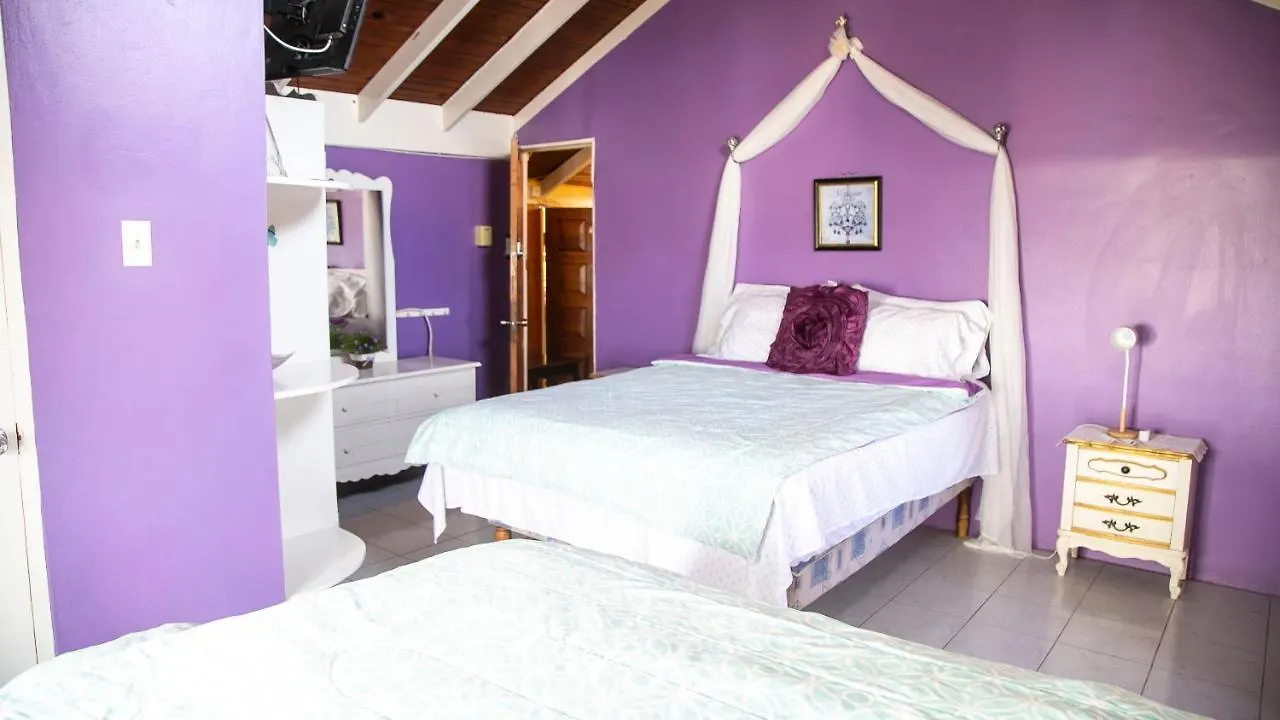 Castle Cove -Ocean Front Villa Westlands