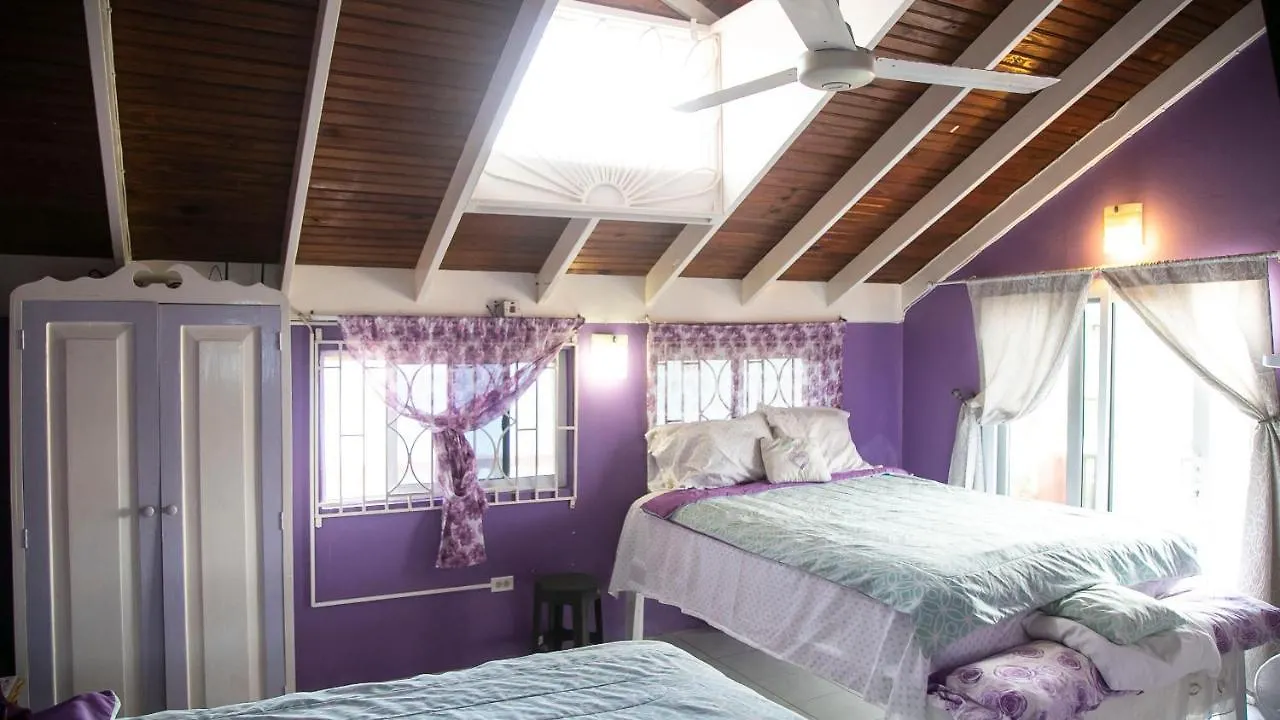 Castle Cove -Ocean Front Villa Westlands