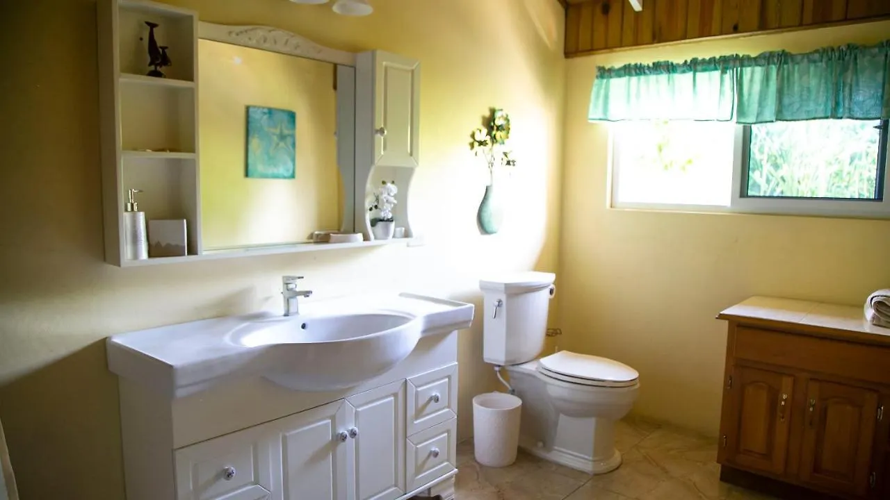 Castle Cove -Ocean Front Villa Westlands